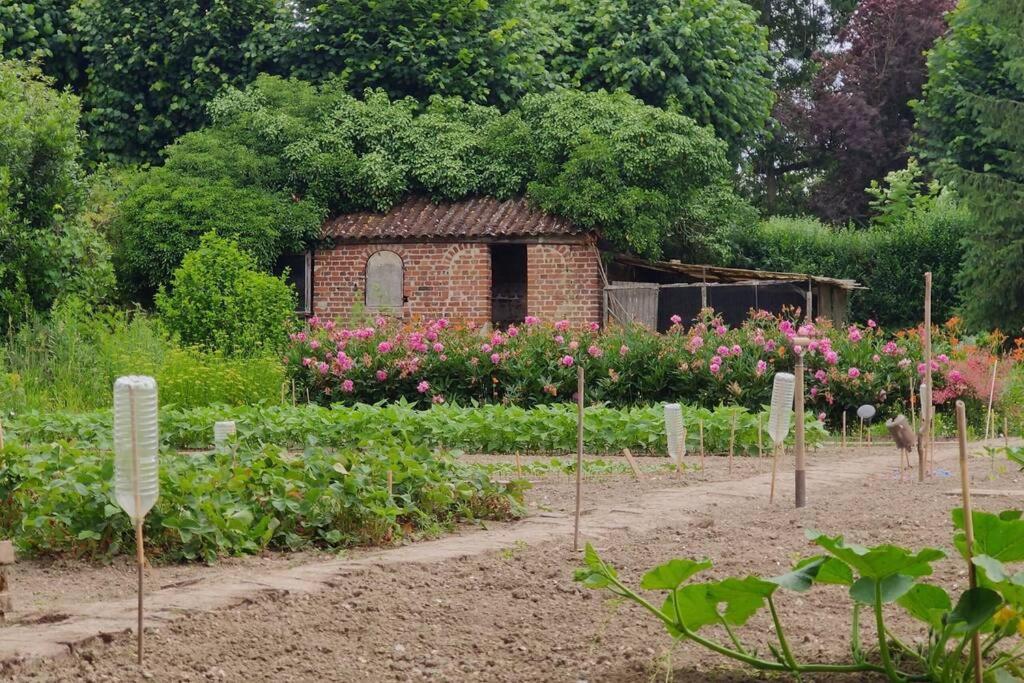 Uw Eigen Boerderij Bij Le Moulin De La Place Hargicourt المظهر الخارجي الصورة