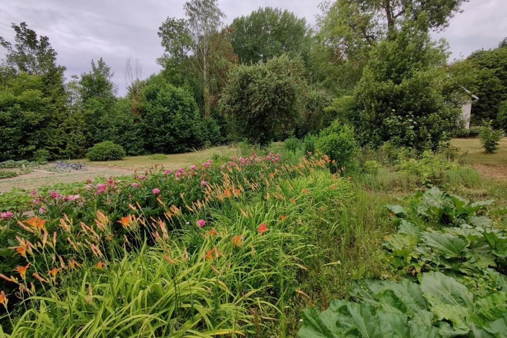 Uw Eigen Boerderij Bij Le Moulin De La Place Hargicourt المظهر الخارجي الصورة